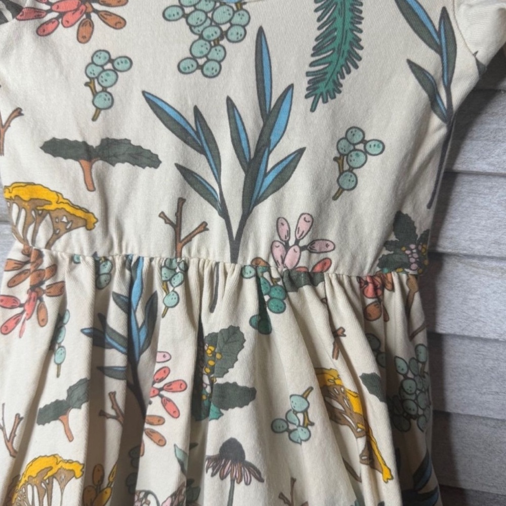 Alice + Ames Herbal Study Ballet Dress Toddler Girls 2T Botanical Twirl Dress - Picture 4 of 6